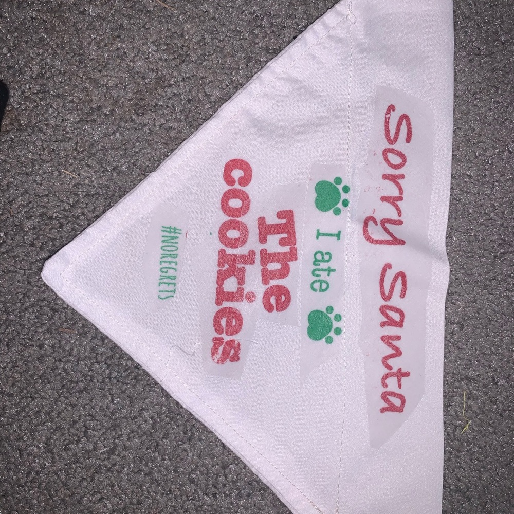 Over the collar bandana